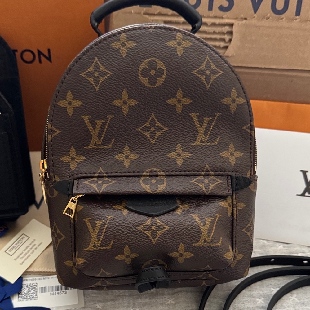Louis Vuitton Palm Springs Mini Backpack